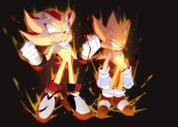 shadow the hedgehog from sonic (series)