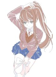 monika (doki doki literature club) from doki doki literature club