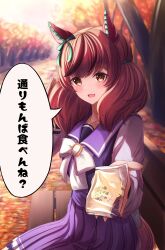 nice nature (umamusume) from umamusume