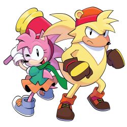 amy rose from sonic (series)
