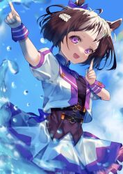 special week (umamusume) from umamusume