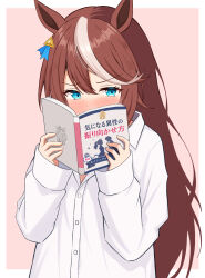 tokai teio (umamusume) from umamusume