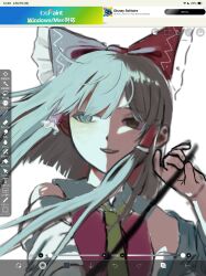 hakurei reimu from touhou