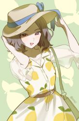 ebizuka tomo from girls band cry