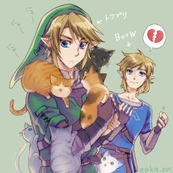 link from the legend of zelda by zin (mame denkyu)