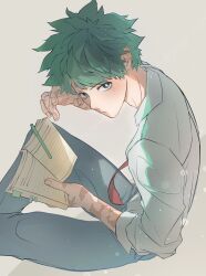 midoriya izuku from boku no hero academia
