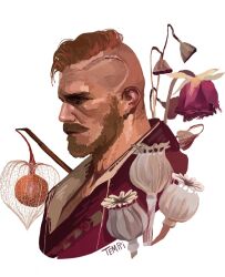the witcher (series) fan art