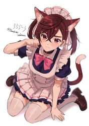 ayase momo from dandadan by nandemo unknown