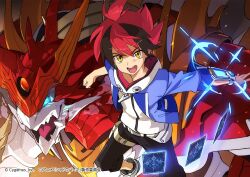 shadowverse fan art