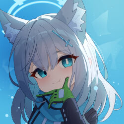shiroko (blue archive) from blue archive
