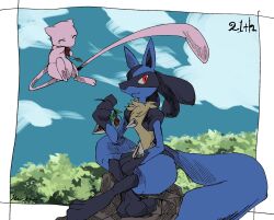 lucario from pokemon