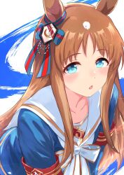grass wonder (umamusume) from umamusume
