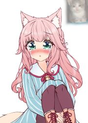 fraise (nekopara) from nekopara
