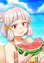 nia (xenoblade) from xenoblade chronicles (series)