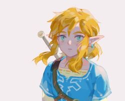 link from the legend of zelda