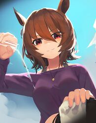 umamusume fan art