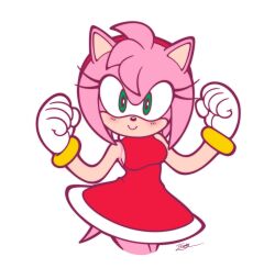 amy rose from sonic (series)