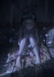oshino shinobu from bakemonogatari