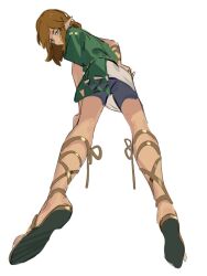 link from the legend of zelda by leopardtiger