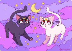 artemis (sailor moon) from bishoujo senshi sailor moon