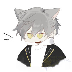 caelus (honkai: star rail) from honkai: star rail