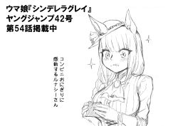 umamusume fan art