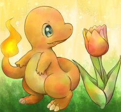 charmander from pokemon