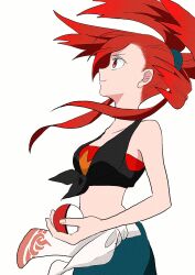 flannery (pokemon) from pokemon