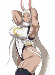 mirko from boku no hero academia by shibusun