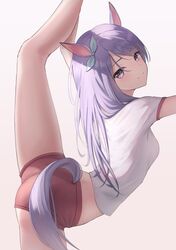 mejiro mcqueen (umamusume) from umamusume