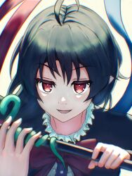 houjuu nue from touhou by luke (kyeftss)