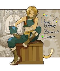 zidane tribal from final fantasy