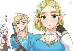 link from the legend of zelda by monbetsu kuniharu