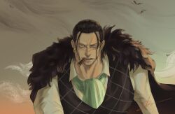 crocodile (one piece) from one piece