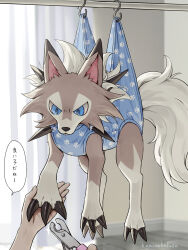 lycanroc from pokemon