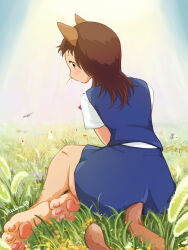 muta (neko no ongaeshi) from neko no ongaeshi