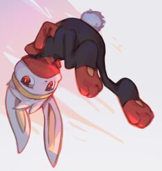 raboot from pokemon
