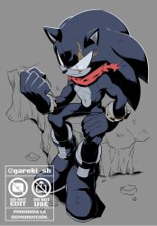 shadow the hedgehog from sonic (series) by gareki sh