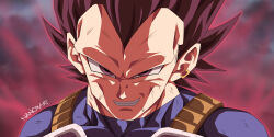 vegeta from dragon ball
