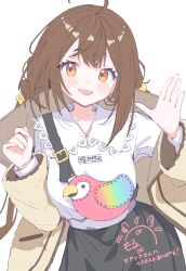 amadeus (alice fiction) from alice fiction