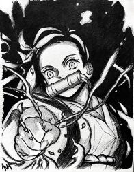 kamado nezuko from kimetsu no yaiba