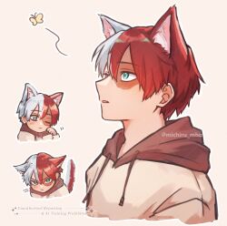 todoroki shouto from boku no hero academia
