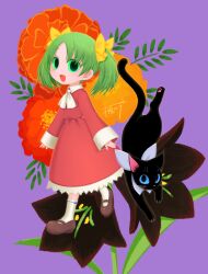 black cat (elona) from elona