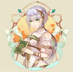plachta from atelier (series)