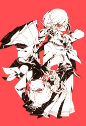 fukawa toko from danganronpa: trigger happy havoc