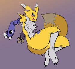 renamon from digimon