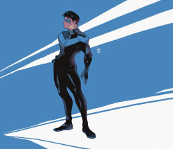 dick grayson from batman (series)