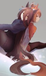agnes tachyon (umamusume) from umamusume