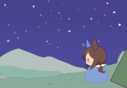 admire vega (umamusume) from umamusume by gomashio (goma feet)