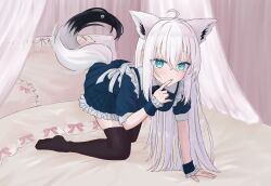 shirakami fubuki from hololive